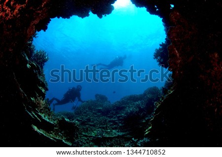 palau underwater image