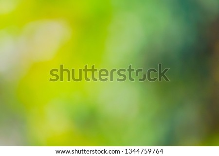 The Natural green blurred background. Abstract blurred backdrop of bokeh light burst and textures. 
