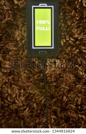 Charging the cellphone, charge the smartphone battery, charge the cellphone battery, mobile phone charging process by 100%, cellphone is fully charged