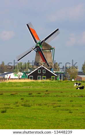 Picture of dutch windmill with nice green grass in front of them