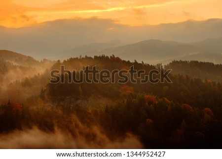 Beautiful foggy landscape. Cold misty foggy morning with twilight sunrise in a fall valley of Bohemian Switzerland park.