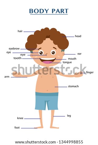 Illustration Of Boy Body Parts Stock Photo 104942816 - Avopix.com