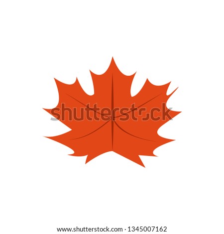 Maple Dry Leaves Vector Symbol Illustration