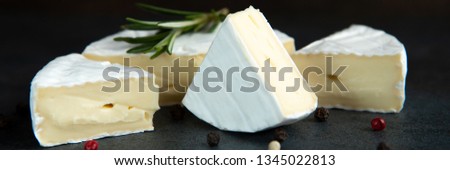 Cheese camembert or brie with rosemary and pepper on dark stone background. Copy space.  Studio photo.