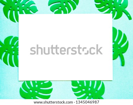 Flatlay background of monstera leaves is colorful and white blank with copy space top of view. Tropical palm leaves background.