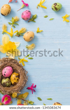 Easter eggs in nest with spring flowers on wooden background