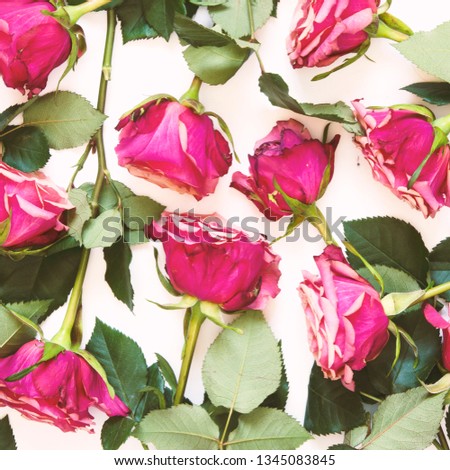 Flowers pattern. Roses flowers on white background. Flat lay. Top view, copy space. - Image