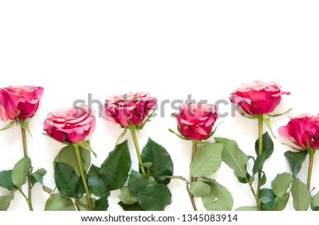 Flowers composition. Roses flowers on white background. Flat lay, top view, copy space. - Image