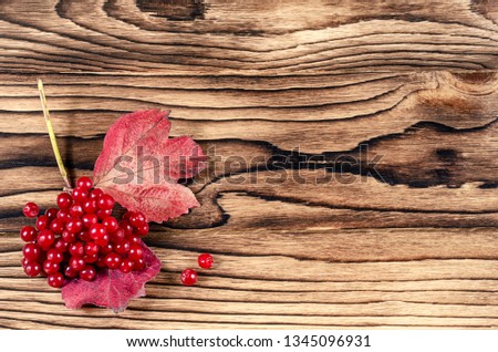 Images of Red berries and viburnum leaves in bunches on a wooden table close-up.
