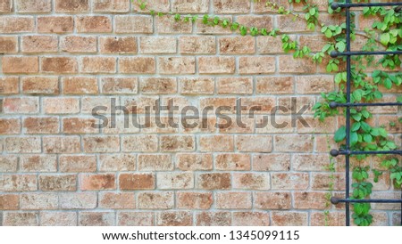 brick wall and plant background