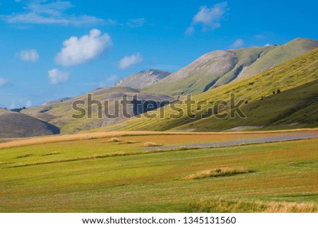 Beautiful green countryside in summer with fields of wild flowers