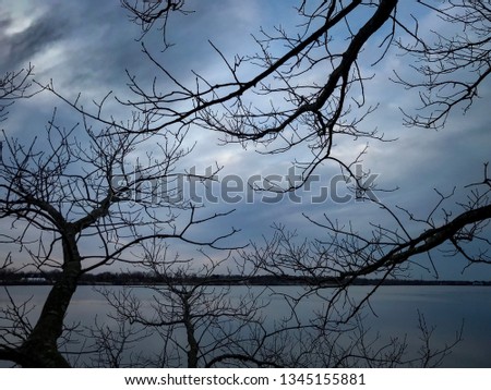 Trees interacting with a beautiful sky and water