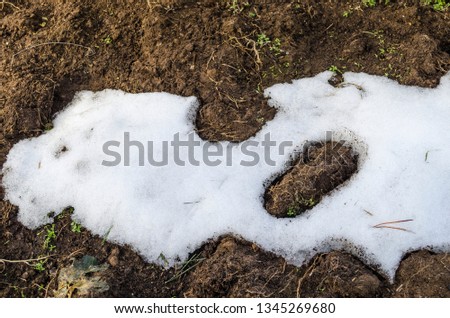 Melting snow on the lawn in March. Russia, March 2019