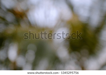 abstract nature blur background