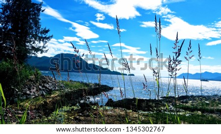 Landscape behind reeds in Alaska