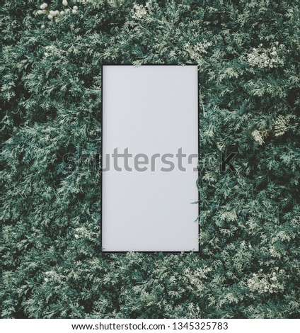 blank frame on green bush empty on tree background mock up