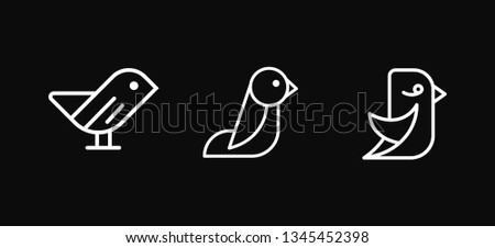 Bird logo design template vector illustration