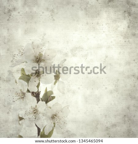 textured stylish old paper background, square, with spring blossoms 