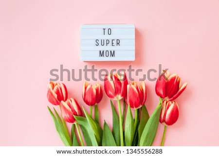 Creative flat lay top view Mothers Day greeting card with red tulips spring flowers on pink background. Celebration Postcard template