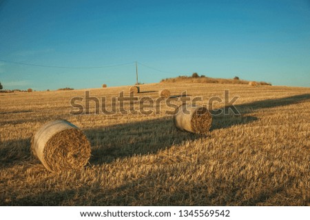 Rural landscape with bales of hay on top of field covered with dry straw at sunset, in a farm near Elvas. A gracious star-shaped fortress city on the easternmost frontier of Portugal.