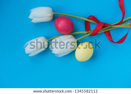 Top view on a blue flat background for Easter arrangement of three white tulips with red ribbon and multicolored Easter eggs