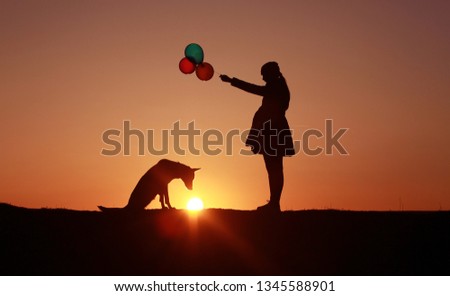 A girl with multicolored balloons and a dog against the backdrop of a sunset, a Belgian Shepherd Malinois dog, the dog looks at the sun