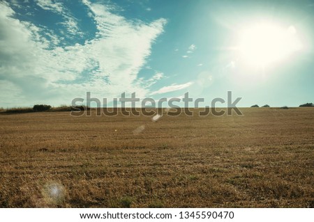 Rural landscape at sunset and clear sky with field covered by straw near Elvas. A gracious star-shaped fortress city on the easternmost frontier of Portugal. Retouched photo.