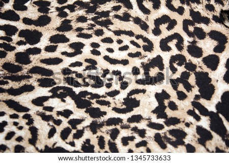 Leopard Backround, Authentic Leopard Skin, Skin's texture of leopard,