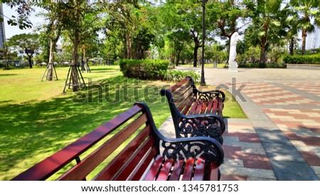 Brown wooden chair rows in park with green grass trees beautiful sunny day Central park 