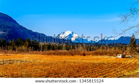 Mount Robie Reid on the left and  Mount Judge Howay on the right, viewed Sylvester Road over the Blueberry Fields near Mission, British Columbia, Canada under clear blue sky on a nice winter day Royalty-Free Stock Photo #1345815524