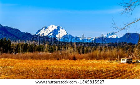 Mount Robie Reid on the left and  Mount Judge Howay on the right, viewed Sylvester Road over the Blueberry Fields near Mission, British Columbia, Canada under clear blue sky on a nice winter day Royalty-Free Stock Photo #1345815527