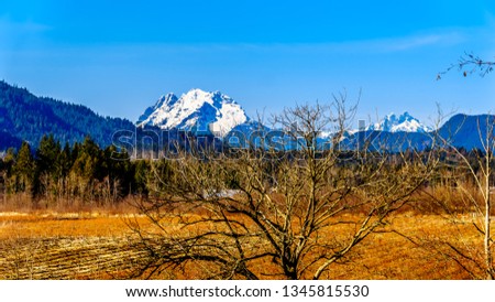 Mount Robie Reid on the left and  Mount Judge Howay on the right, viewed Sylvester Road over the Blueberry Fields near Mission, British Columbia, Canada under clear blue sky on a nice winter day Royalty-Free Stock Photo #1345815530