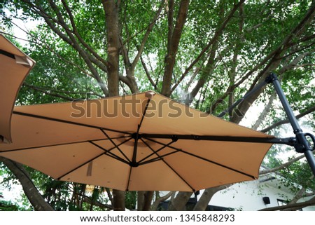 Outdoor parasol umbrella under big green tree decorated in patio terrace lounge