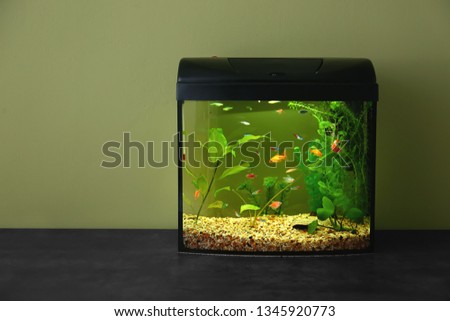 Beautiful aquarium on table against color background