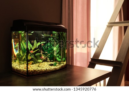 Beautiful aquarium on table in room
