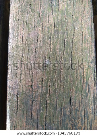 Wooden decor background. Old wood.