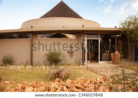 farm tourist reception deserts and nature in national parks africa namibia