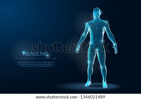 Human Body 3D Polygonal Wireframe Blueprint Royalty-Free Stock Photo #1346021489