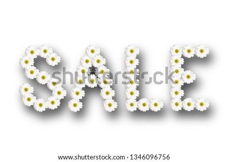 inscription sale lined with chamomile flowers on a white background
