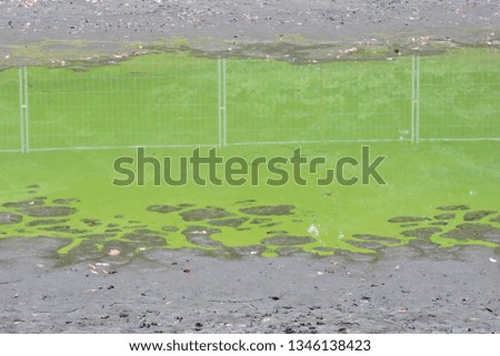 Green water, contaminated river, muddy banks, background