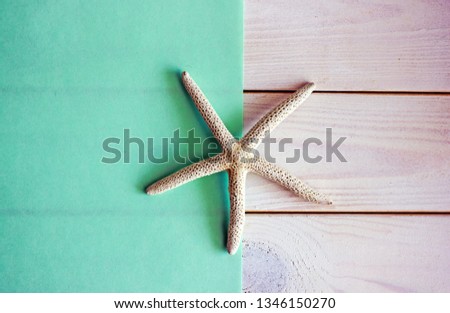Green sheet of paper on a wooden light background, near the dried starfish. Background for records in a nautical style. Travel background.Top view, copy space