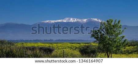 Early morning view of the Golan Heights and Mount Hermon  as seen from Hula valley, near Yesood HaMaala village, Upper Galilee, Israel  Royalty-Free Stock Photo #1346164907