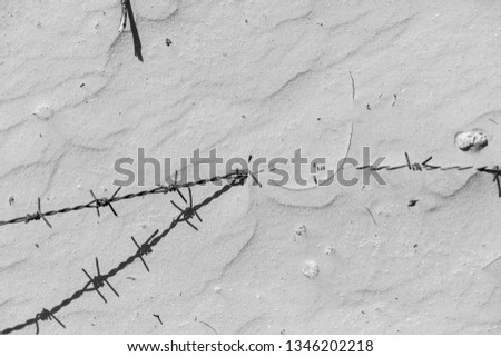 texture of barbed wire in pekske