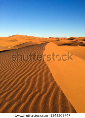 the big sand dunes of Erg Chebbi, Morocco, offer an amazing sight of waves and shapes and changing golden, red and orange colors during dusk and sunset
