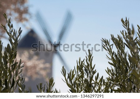 Windmill frame with olive leaves, Spain. (Horizontal)