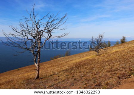 Sunny day on Lake Baikal , Olkhon Island ,Russia
