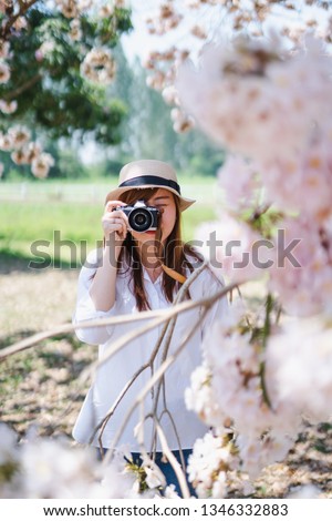 spring season with full bloom pink flower travel concept from beauty asian woman enjoy taking photo and sight seeing sakura or cherry blossom with soft focus foreground