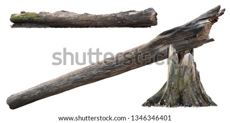 Old tree trunk. Dead tree isolated on white background. Barn tree. Stump isolated. Royalty-Free Stock Photo #1346346401