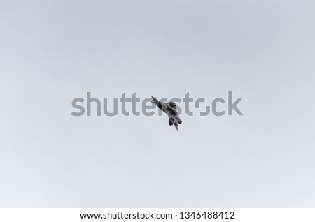 Jets fighters delta wing maneuver view fighter jet external fuel tank.