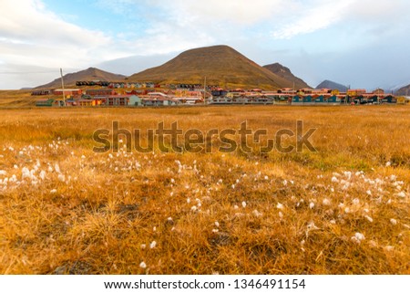 Longyearbyen with mountain landscape in the back, green meadows on the svalbard island in late autumn